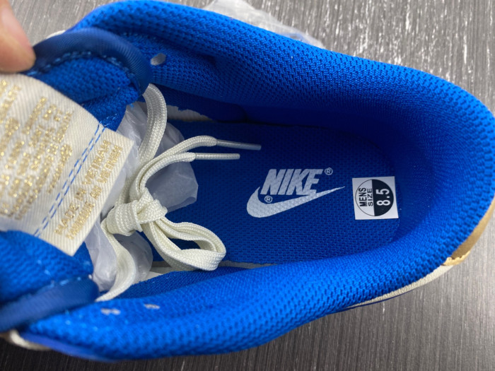 Nike Dunk Low  FB7173-141
