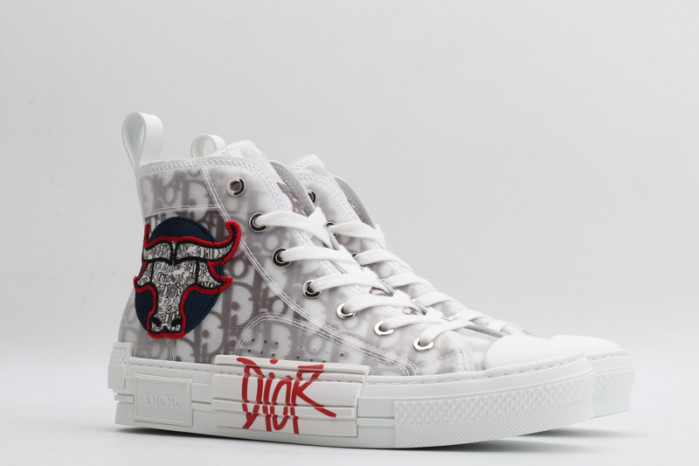 D10R B23 Oblique High Top Sneaker