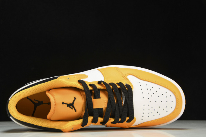 Nike SB Low 553558-701